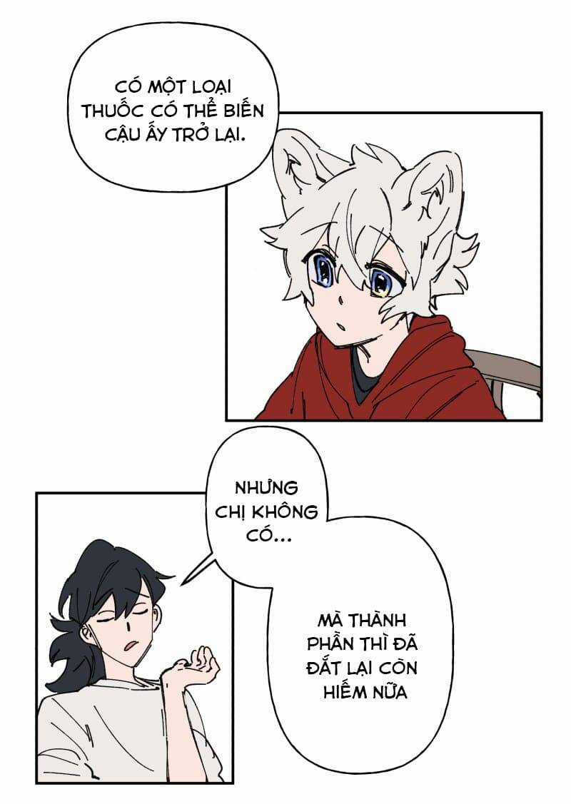 Lumine Chapter 106 trang 12