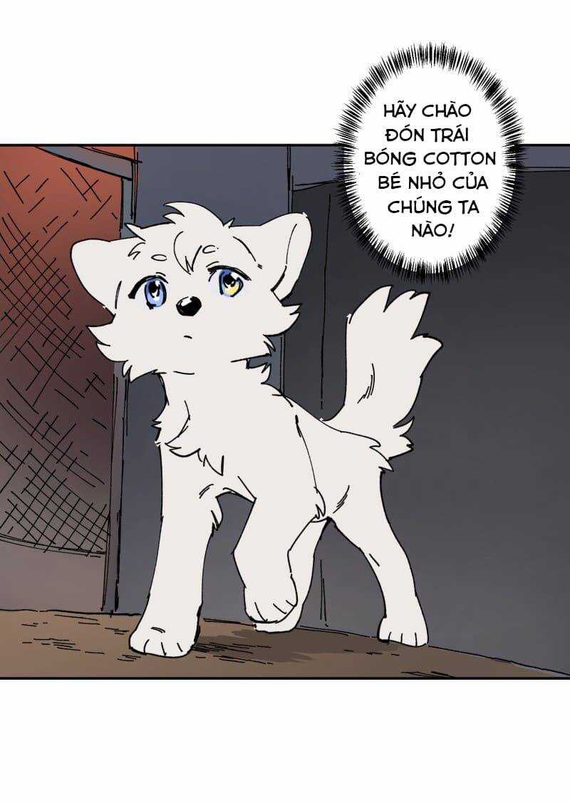 Lumine Chapter 106 trang 36