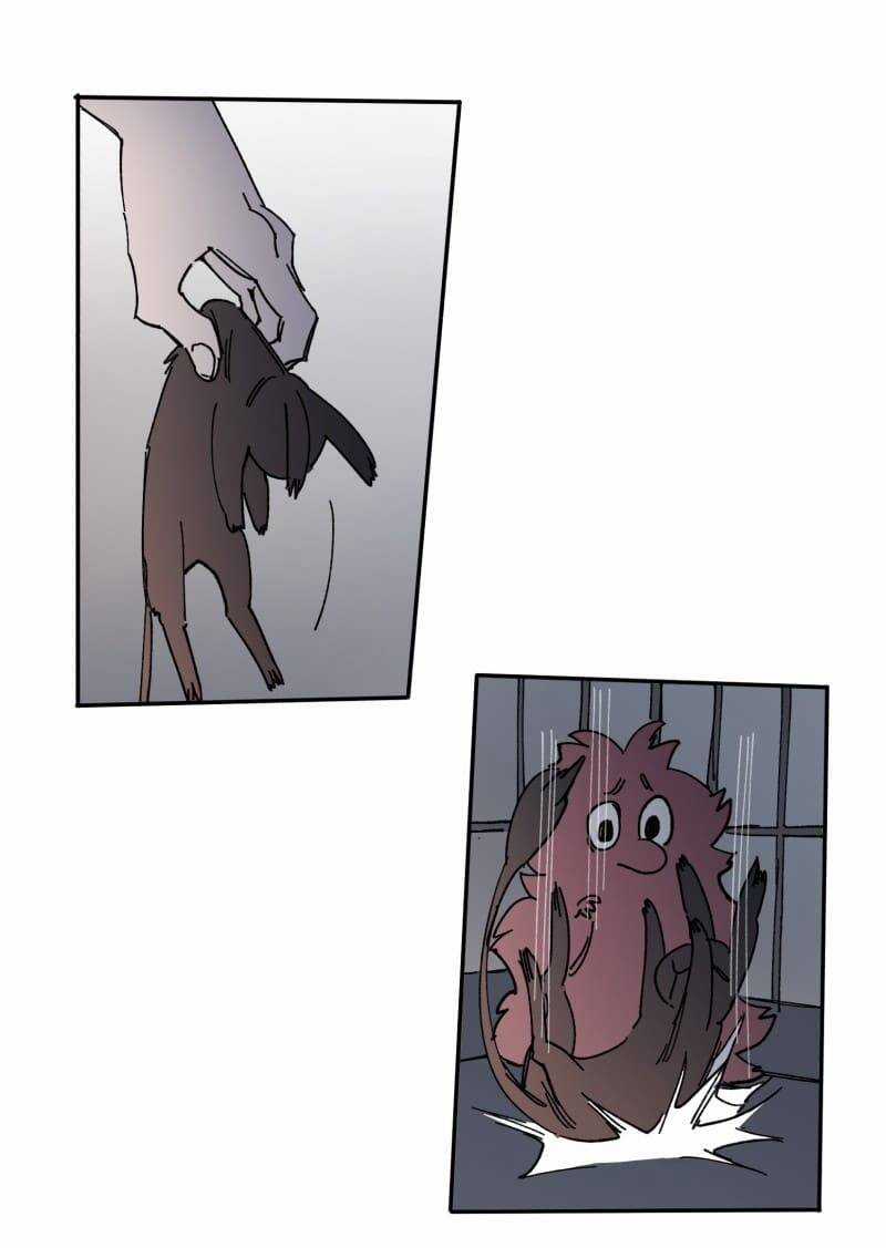 Lumine Chapter 108 trang 15