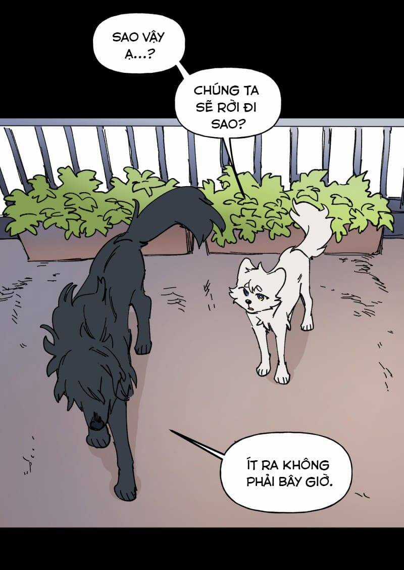 Lumine Chapter 109 trang 30