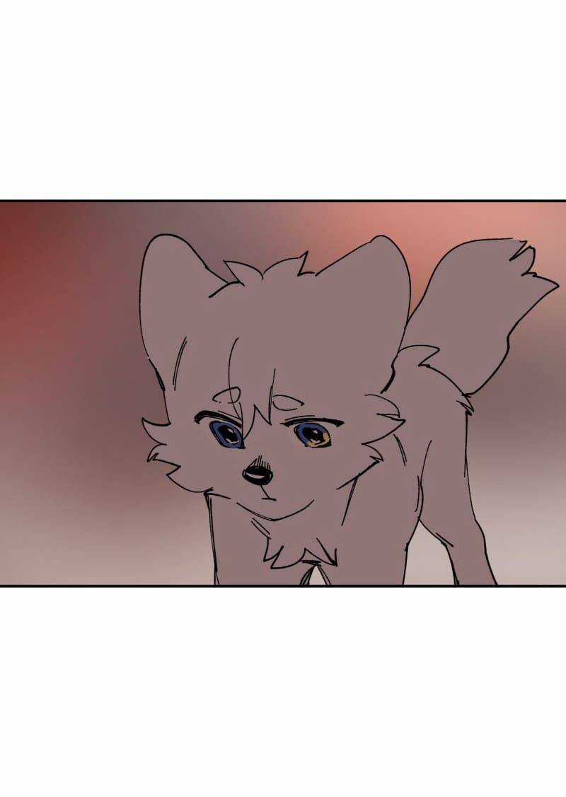 Lumine Chapter 109 trang 43