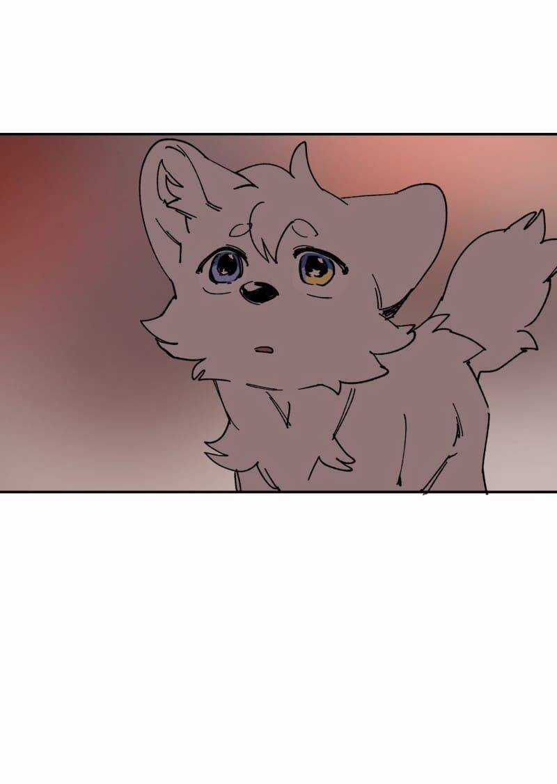 Lumine Chapter 109 trang 44