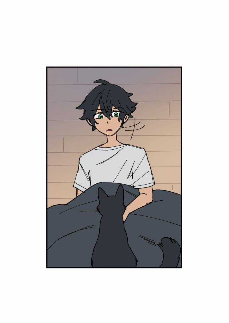 Lumine Chapter 109 trang 6