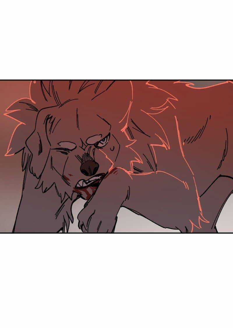 Lumine Chapter 110 trang 22