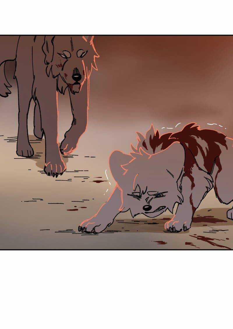 Lumine Chapter 110 trang 26