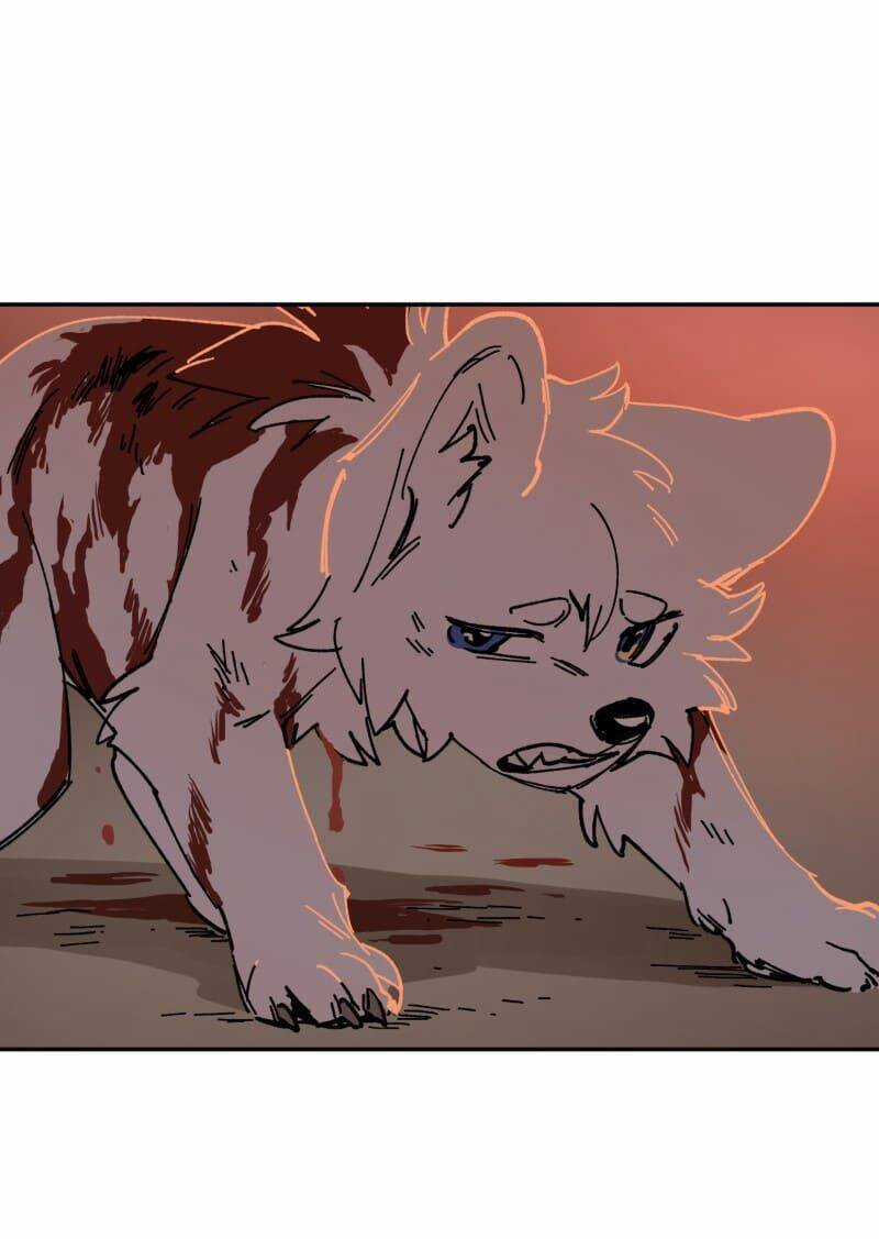 Lumine Chapter 110 trang 27