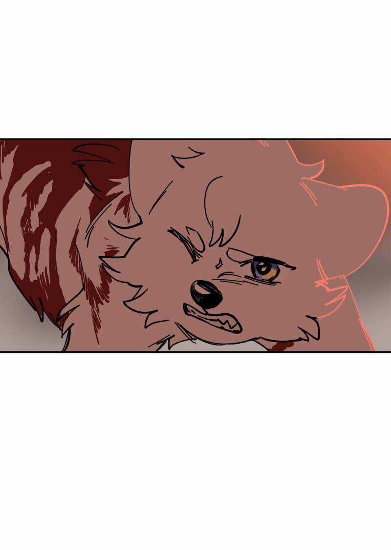 Lumine Chapter 110 trang 31