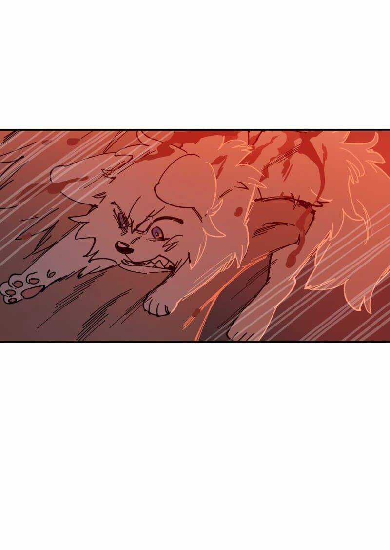 Lumine Chapter 110 trang 5