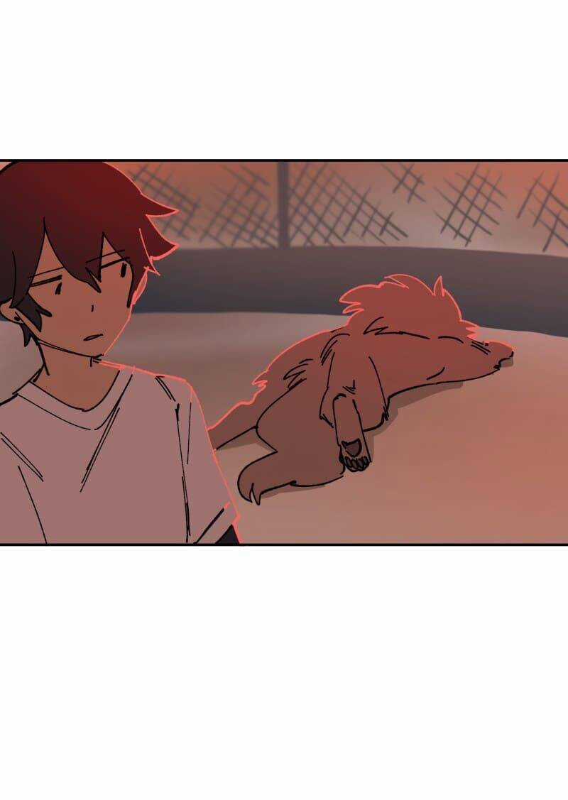 Lumine Chapter 110 trang 51