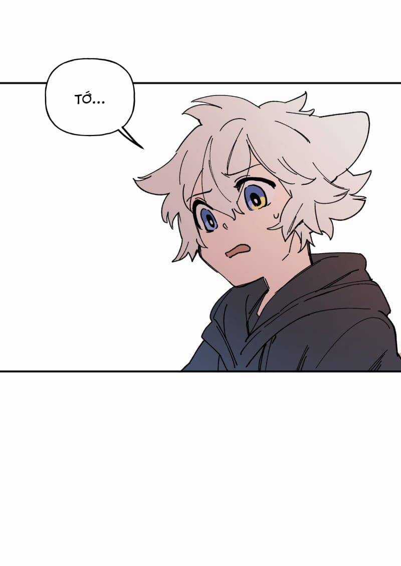 Lumine Chapter 111 trang 19