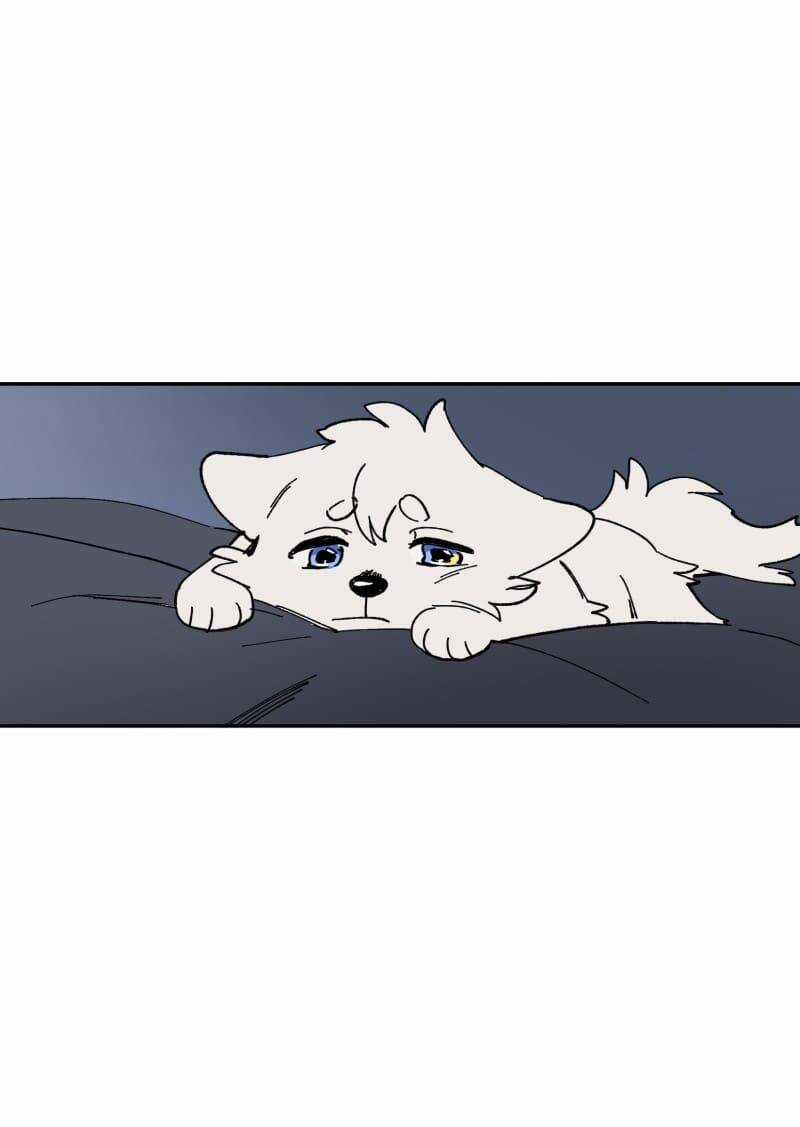 Lumine Chapter 112 trang 28