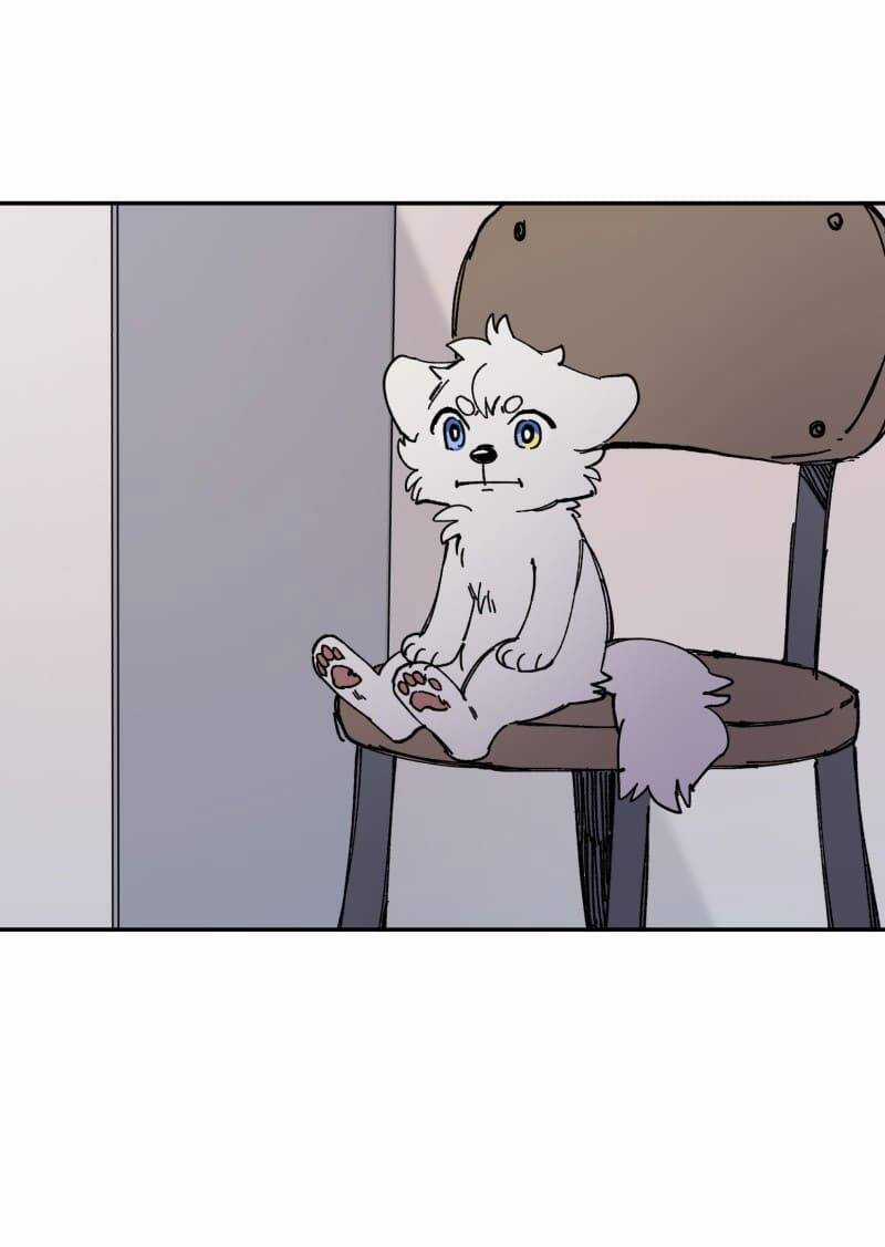 Lumine Chapter 113 trang 10