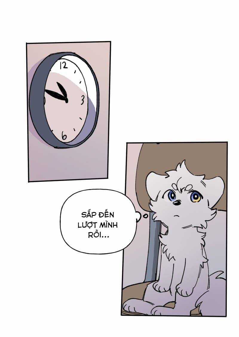 Lumine Chapter 113 trang 11