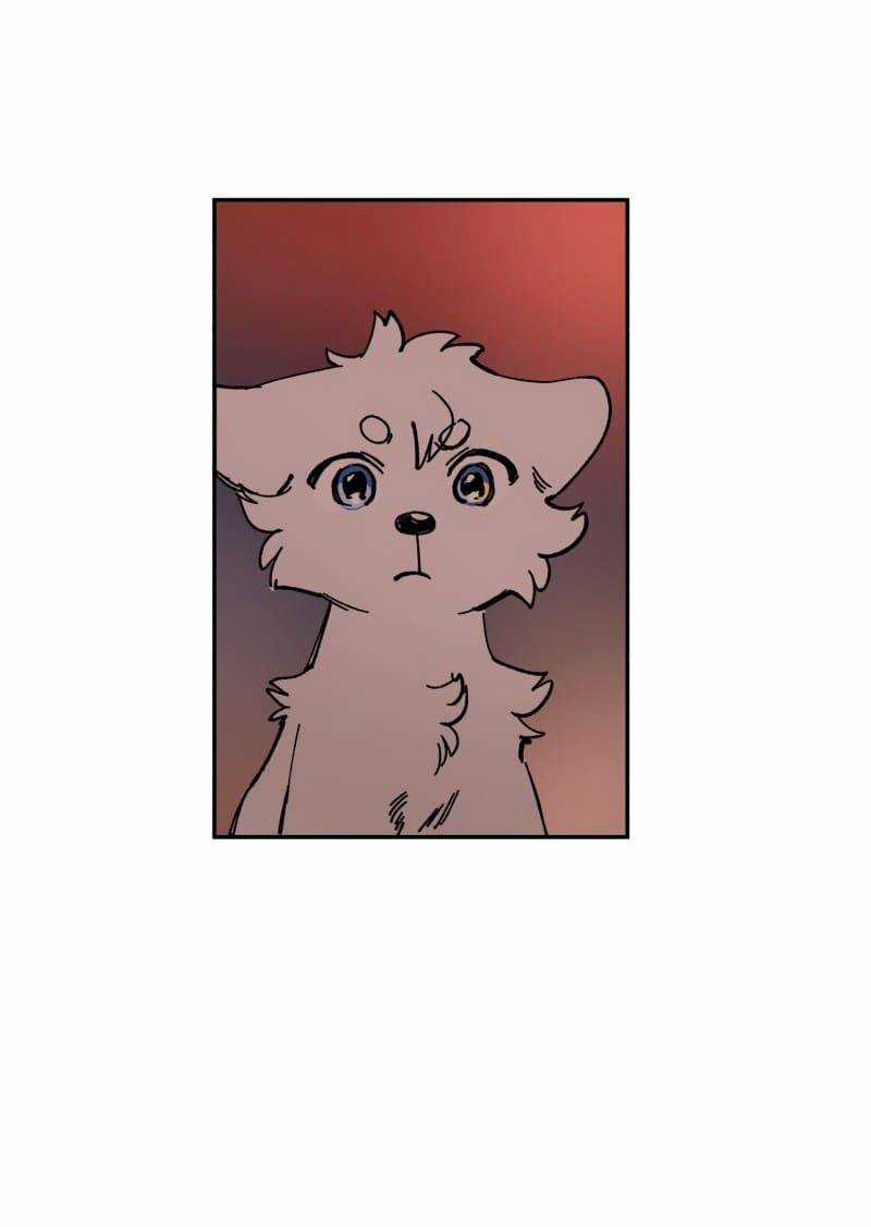 Lumine Chapter 113 trang 19