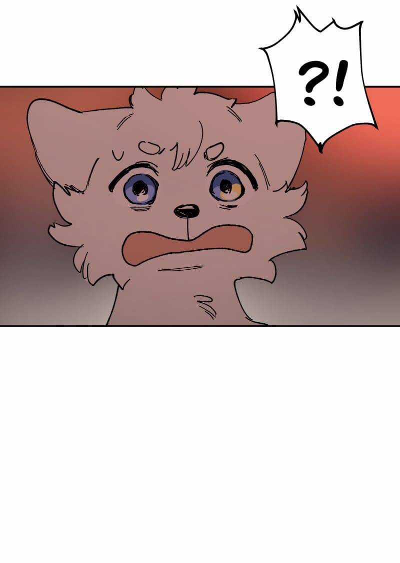 Lumine Chapter 113 trang 20