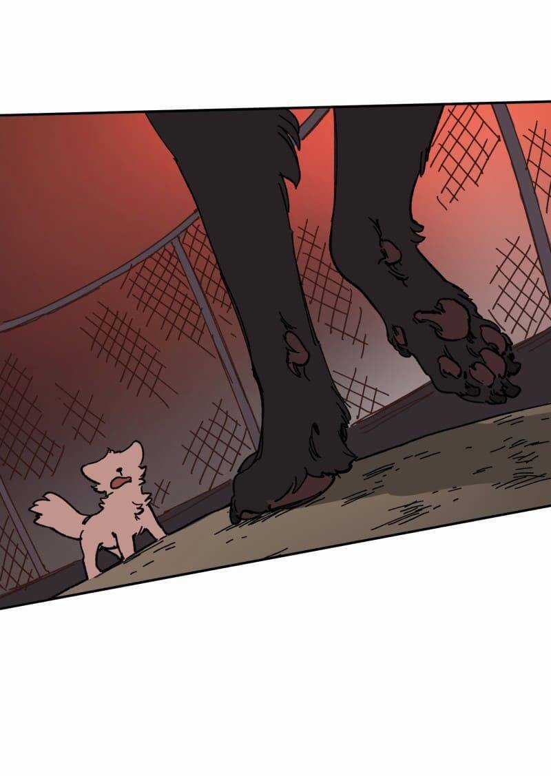 Lumine Chapter 113 trang 22