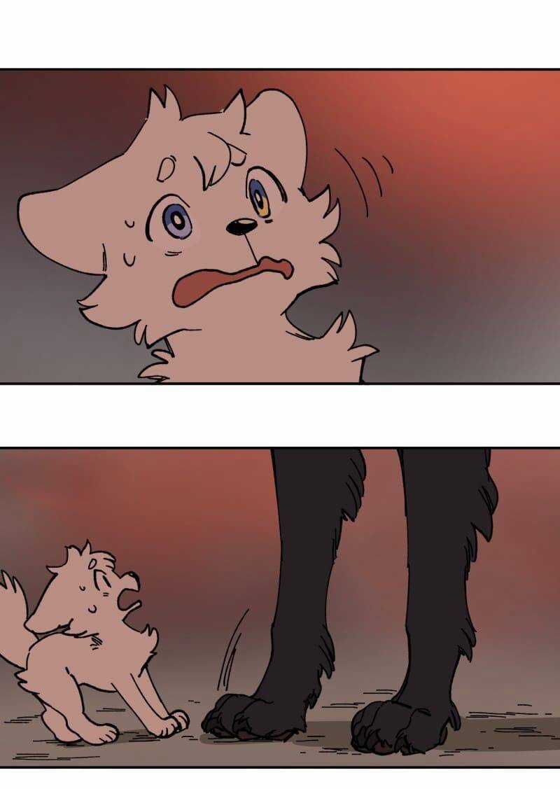 Lumine Chapter 113 trang 23