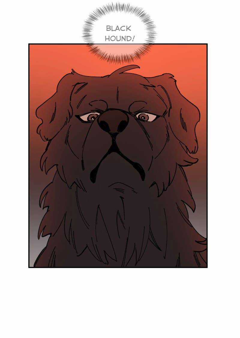 Lumine Chapter 113 trang 25