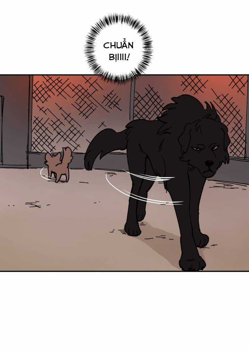 Lumine Chapter 113 trang 29