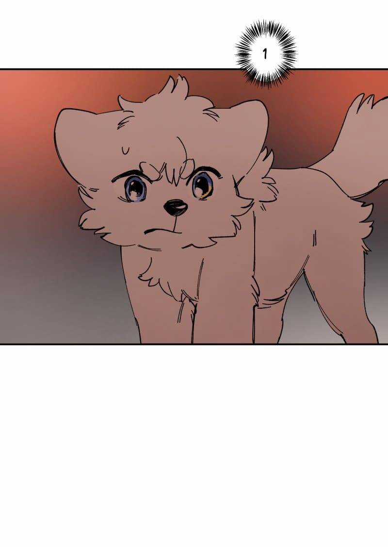 Lumine Chapter 113 trang 32