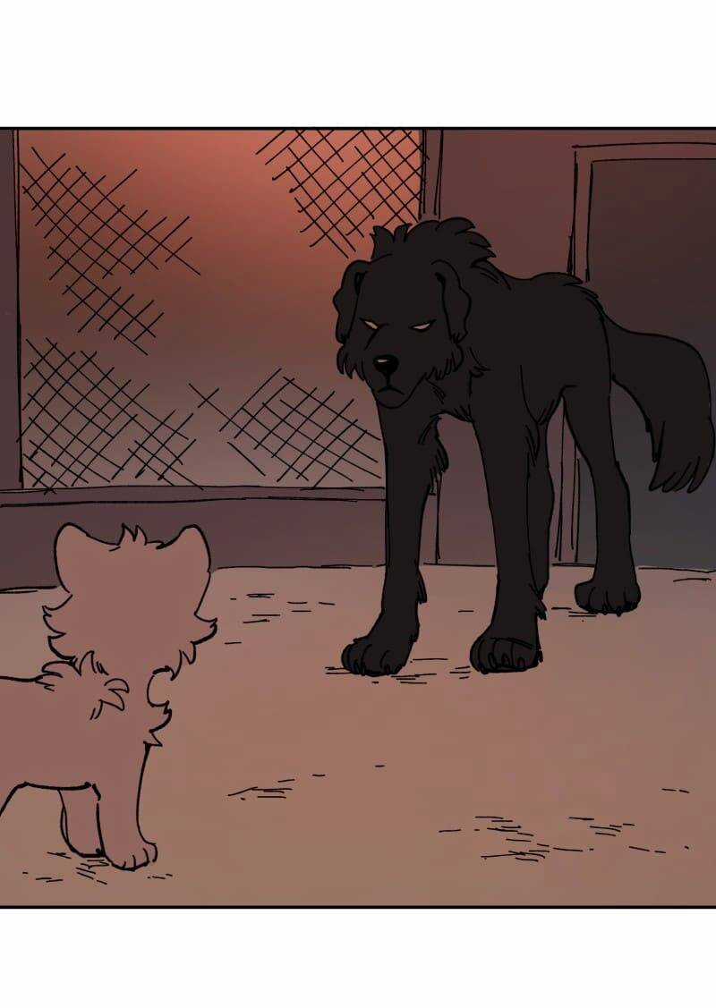 Lumine Chapter 113 trang 34