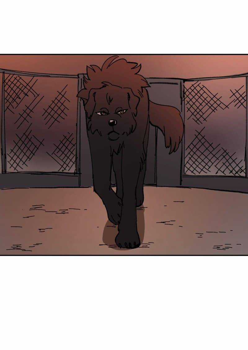 Lumine Chapter 113 trang 37