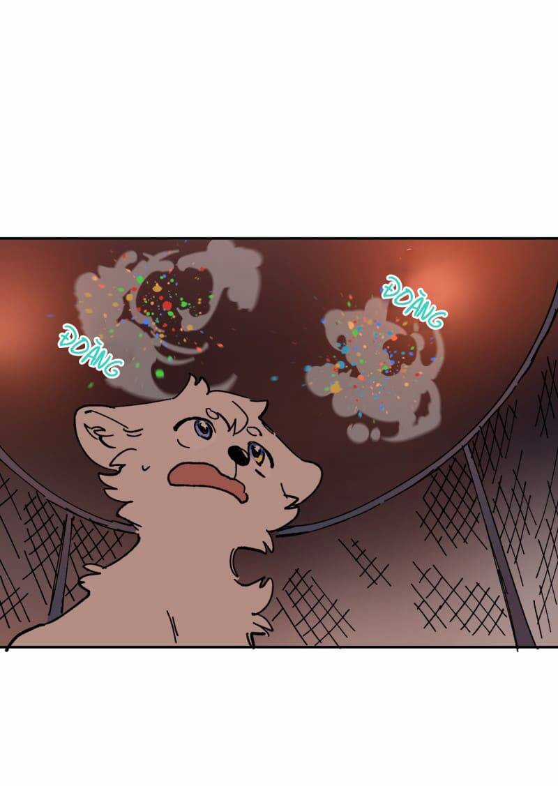 Lumine Chapter 113 trang 51