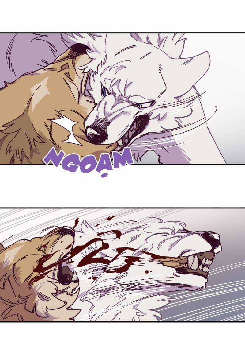 Lumine Chapter 115 trang 17