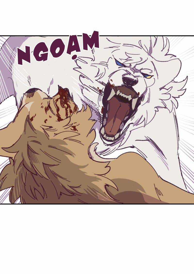 Lumine Chapter 115 trang 19