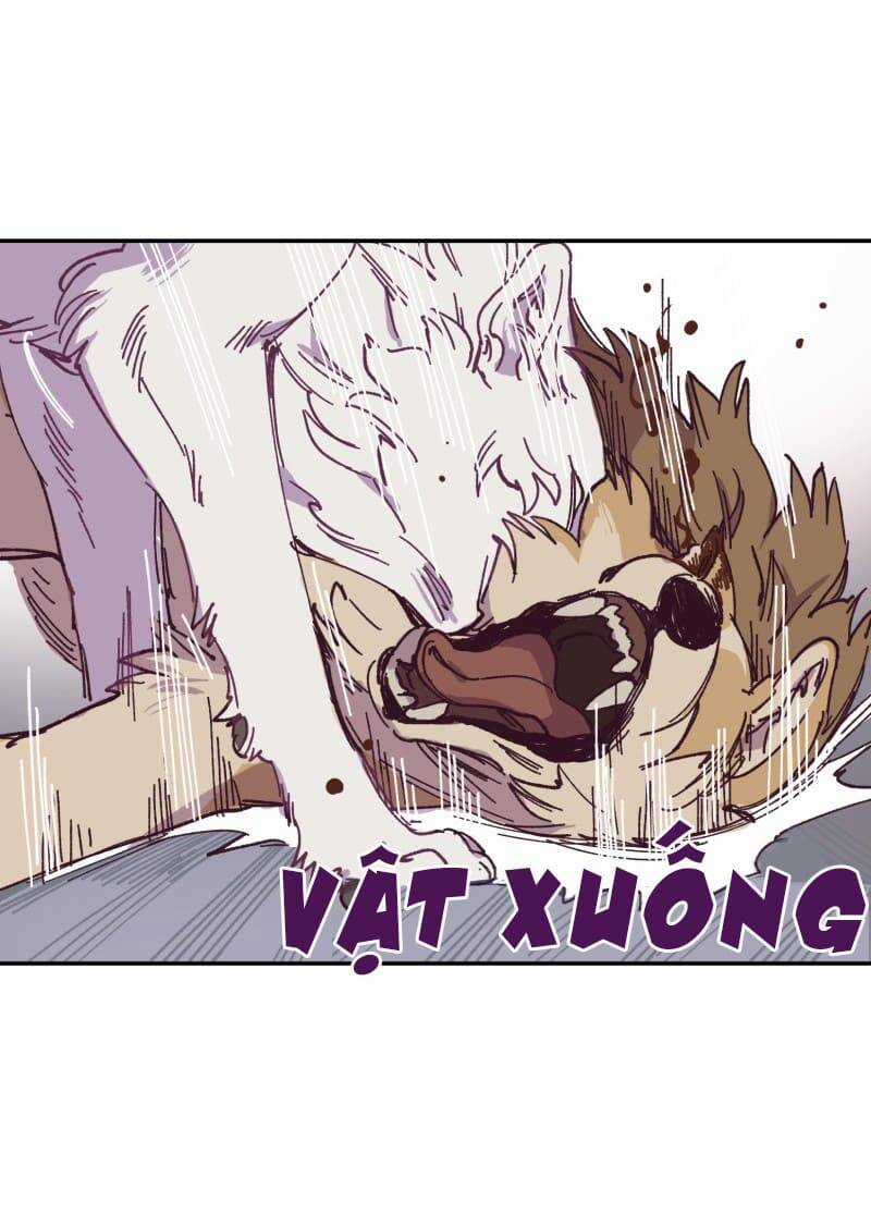 Lumine Chapter 115 trang 20