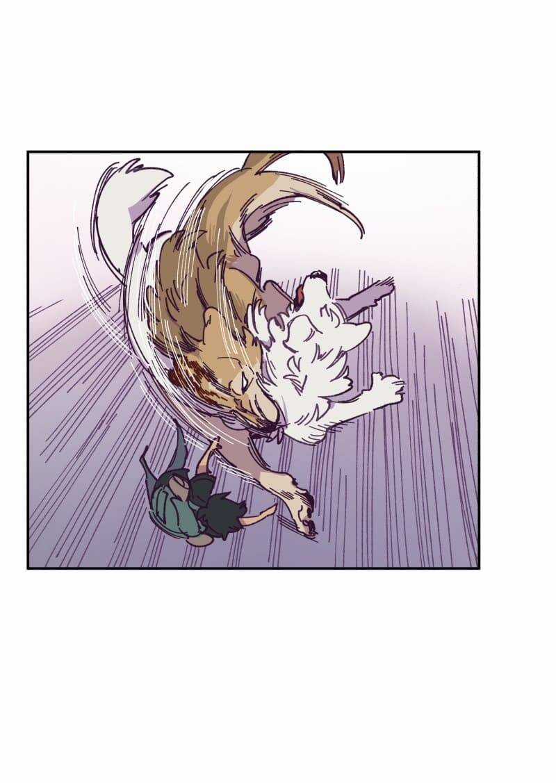 Lumine Chapter 115 trang 38