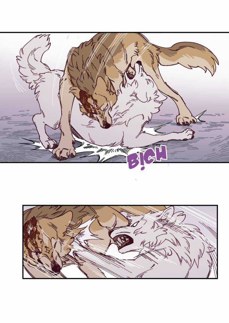 Lumine Chapter 115 trang 39