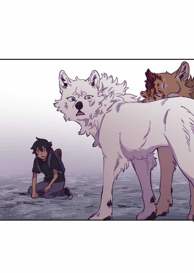 Lumine Chapter 115 trang 47