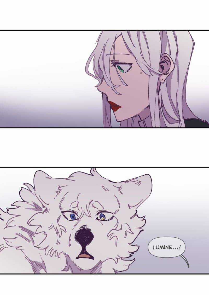 Lumine Chapter 116 trang 10