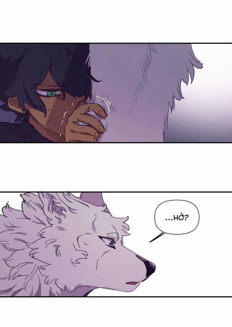 Lumine Chapter 116 trang 21