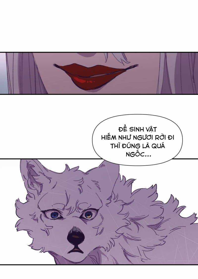 Lumine Chapter 116 trang 22