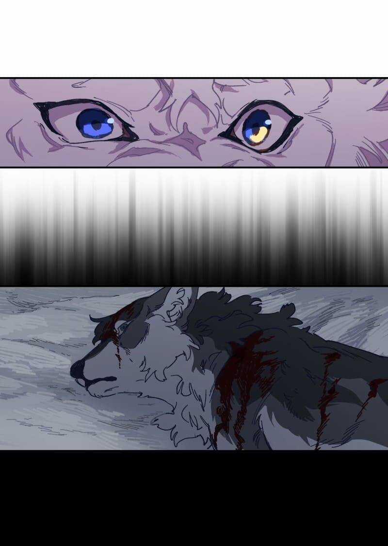 Lumine Chapter 116 trang 23