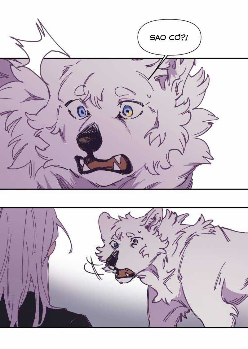 Lumine Chapter 116 trang 3