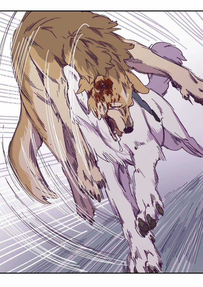 Lumine Chapter 116 trang 40