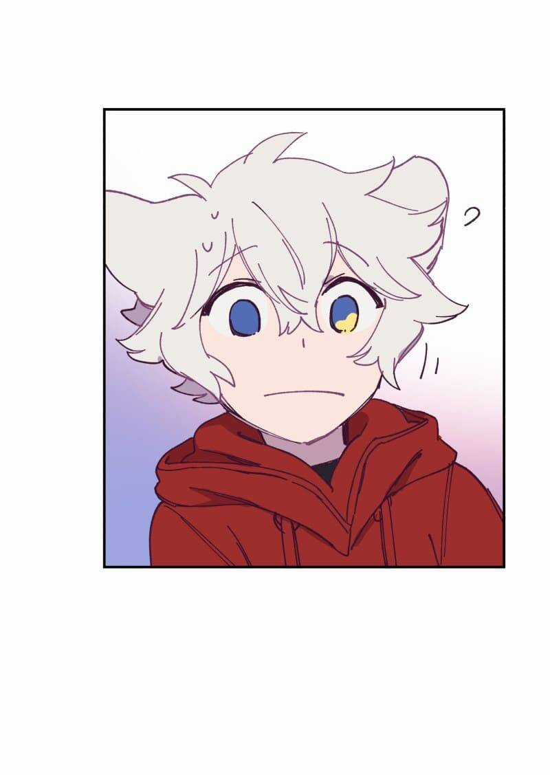 Lumine Chapter 118 trang 17