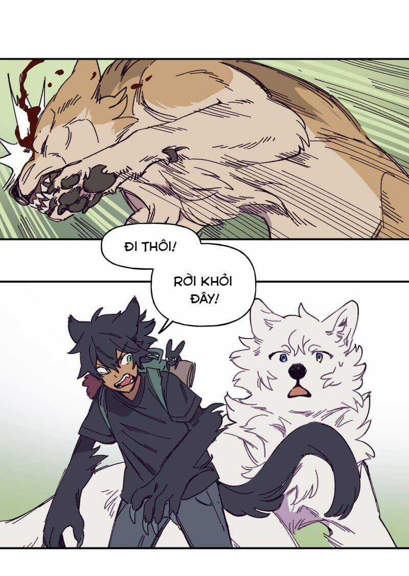 Lumine Chapter 119 trang 22