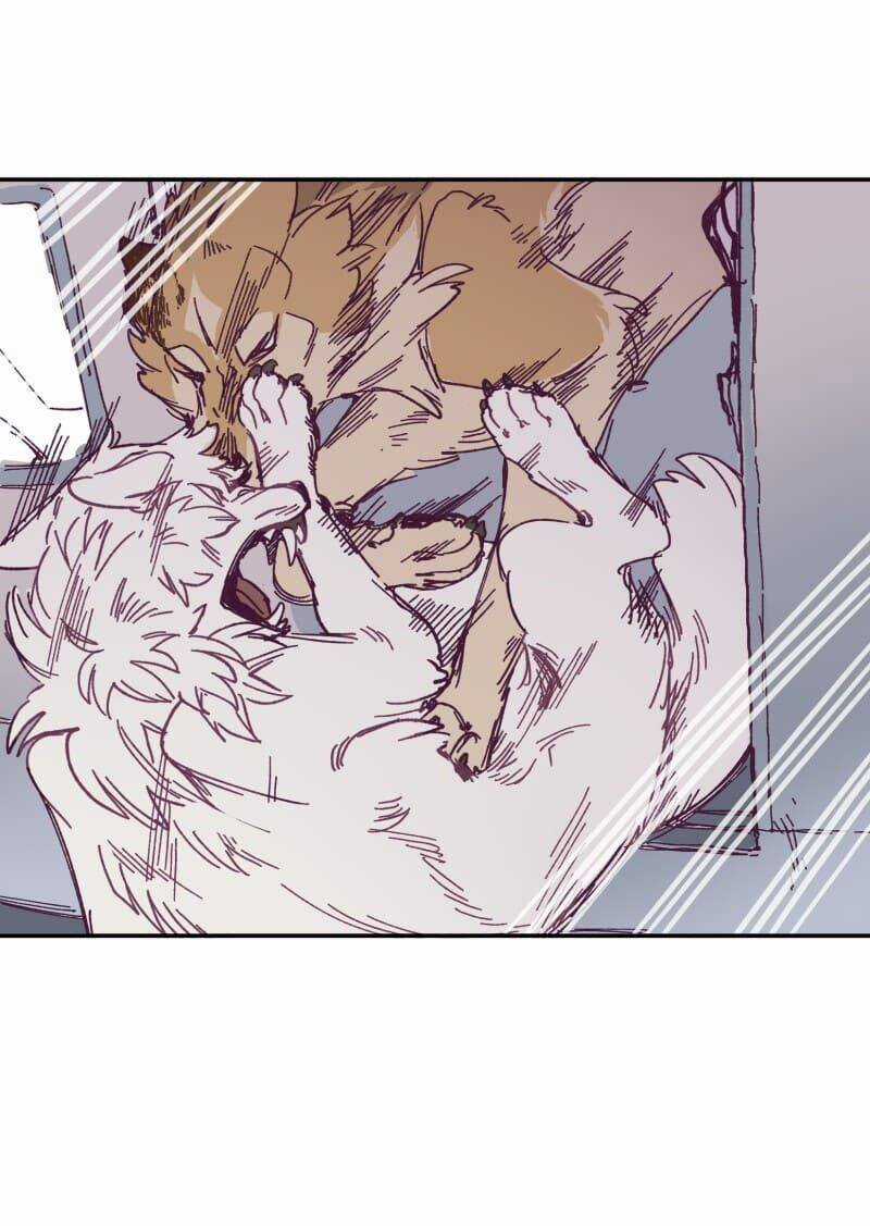 Lumine Chapter 119 trang 3