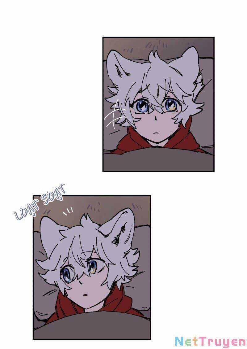 Lumine Chapter 123 trang 5