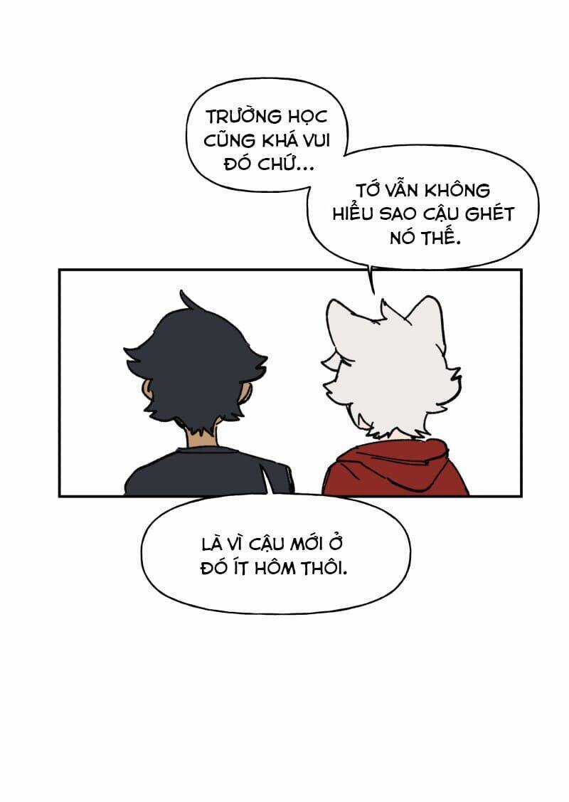 Lumine Chapter 124 trang 15