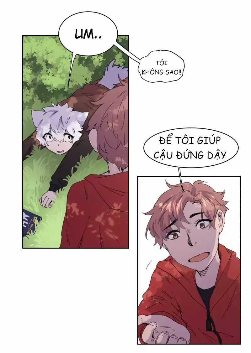 Lumine Chapter 13 trang 19