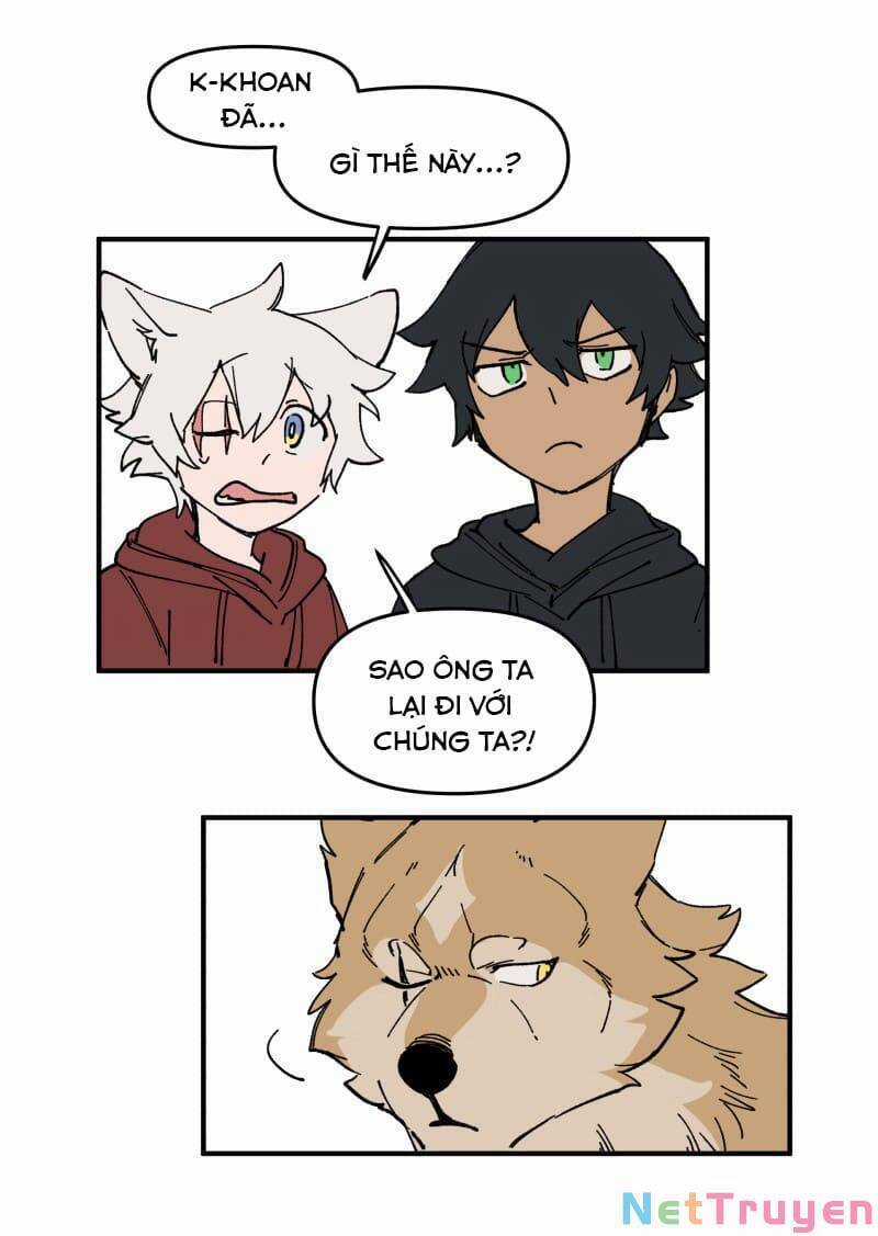 Lumine Chapter 162 trang 14