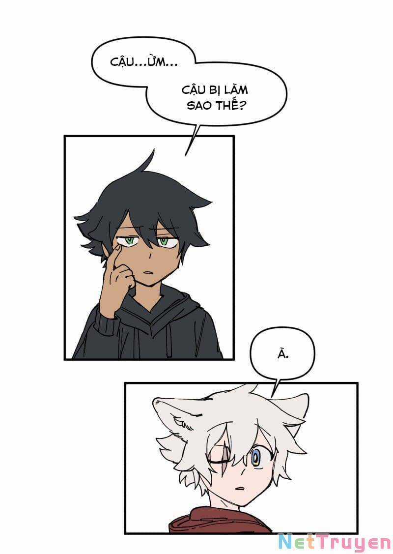 Lumine Chapter 162 trang 4