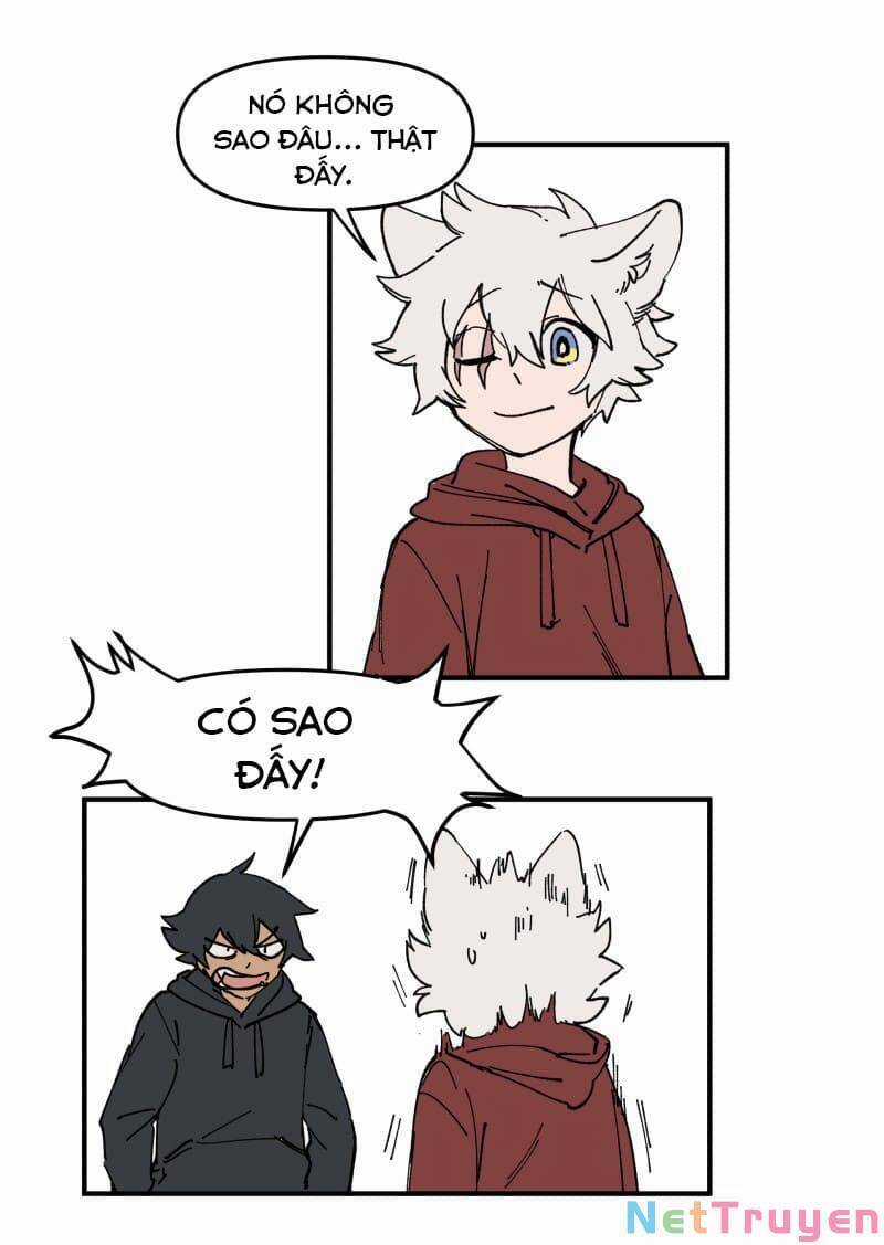 Lumine Chapter 162 trang 6