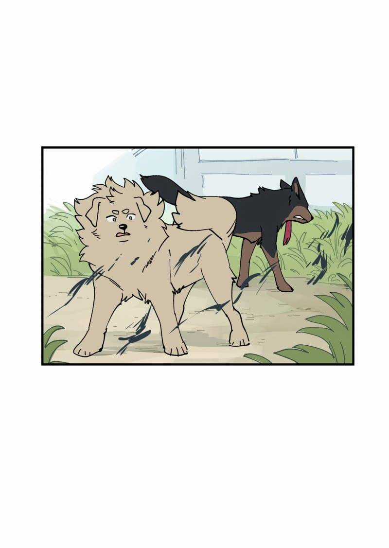 Lumine Chapter 163 trang 13