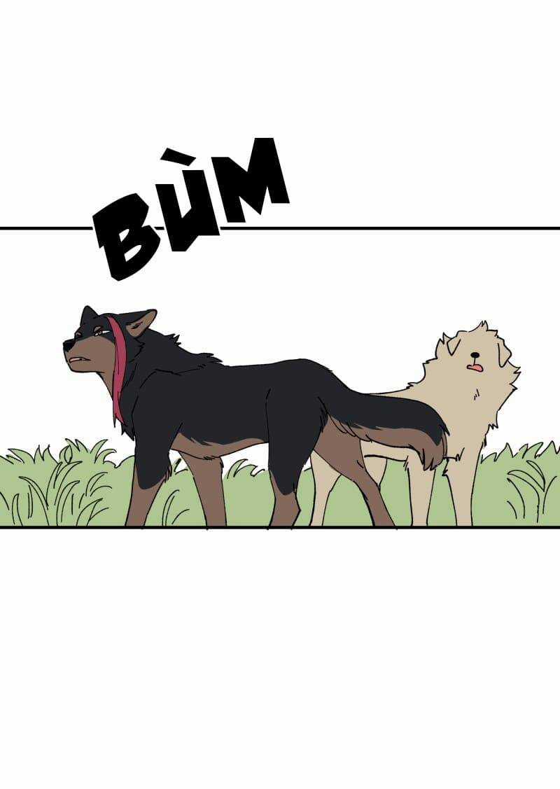 Lumine Chapter 163 trang 14